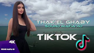 Arabic Remix  Thak El Ghaby Sound Mafia HD🌟 اروع اغنية اجنبية حماسية مشهورة 🔥 [upl. by Noitsirhc213]