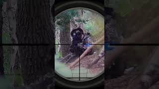 Airsoft Sniper Gives D3ad Leg [upl. by Yrkcaz]