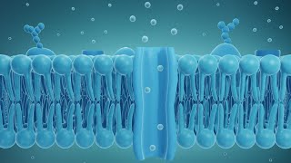 Difference Blw Linkage And Recombination \ Animation Biologyvaidehiyadav2 [upl. by Freed]