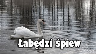 Łabędzi śpiew  Antoni Czechow Słuchowisko [upl. by Imoian865]