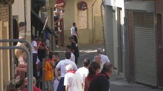 Encierro Fiestas 2024  San Adrián [upl. by Garwin]