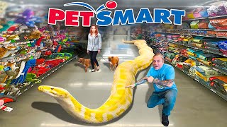 TAKING MY GIANT SNAKE TO PETSMART [upl. by Imit]