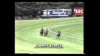 1991 Blamey Stakes  Better Loosen Up vs Vo Rogue [upl. by Server]