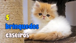 5 BRINQUEDOS CASEIROS E BARATINHOS PARA GATOS 😻  Gatil Hauser [upl. by Nuhsal205]