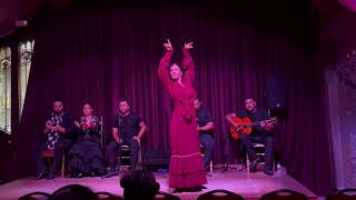 Flamenco Show at Palau Dalmases part 1 [upl. by Annwahs]