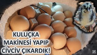 Kuluçka Makinesinden Civciv Çıkımı – Kuluçka Makinesi Yapımı 4K [upl. by Seldon477]