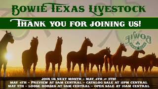 Bowie Texas Livestock April 7th Open Sale [upl. by Ardnassac]