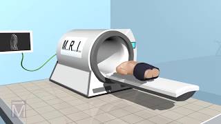 SeeThru Science How MRI Machines Work [upl. by Salvucci159]