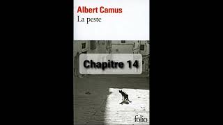 13  La peste de Camus  Chapitre 13  livre audio [upl. by Noby530]