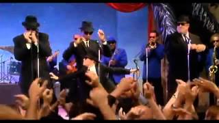 New Orleans  The Blues Brothers amp The Louisiana Gator Boys [upl. by Awahsoj150]