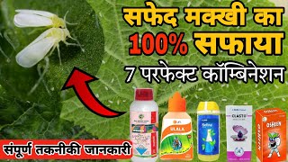 Whitefly Control top 7 best insecticide combinations सफेद मक्खी का 100 सफाया white fly control [upl. by Marrilee]