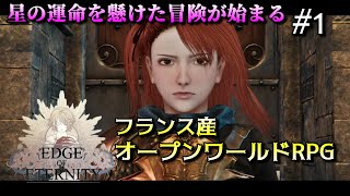 【エッジオブエタニティ】プロローグまとめ！戦闘システムの紹介もするよ【ゲーム実況】Edge Of Eternity 01 [upl. by Gerg272]