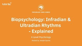 Biopsychology Infradian and Ultradian Rhythms Explained [upl. by Chatav]