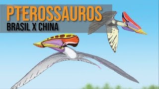 Pterossauros  Brasil X China [upl. by Balduin592]