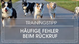 Hundetraining Die 8 größten Fehler im Rückruf Training und was wir anders machen [upl. by Brooks]