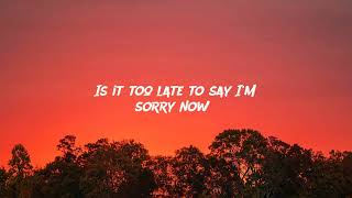 Sorry Lyrics  Justin Bieber Karaoke Lyrics [upl. by Ardnaid]