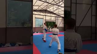 Best Shotokan karate Training 🔥shorts shotokan karate viralvideo [upl. by Blight]