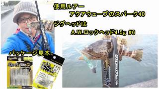 【攻略法】冬の都市河川で根魚を攻略！ルアーの動かし方等はブログに掲載しています【沖縄県ルアー釣り初心者】 [upl. by Nivan]