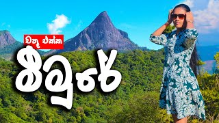 Meemure Sri lanka  මීමුරේ යන්න කළින් බලන්න  🇱🇰 Meemure village life and budget hotel [upl. by Dumas]