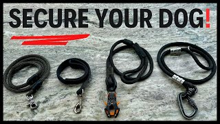 Secure Your Dog Best HeavyDuty Leashes [upl. by Annitsirhc959]