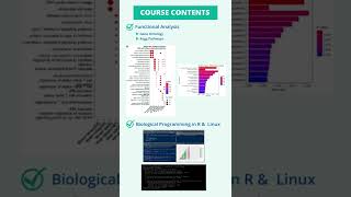 RNA Seq Data Analysis With Linux amp R Course [upl. by Aicatsal]