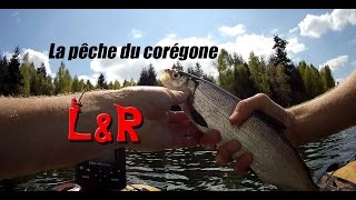 Comment pêcher le corégone  Les bases [upl. by Nicolina367]