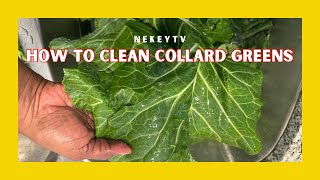 How to Clean Collard Greens [upl. by Inez854]