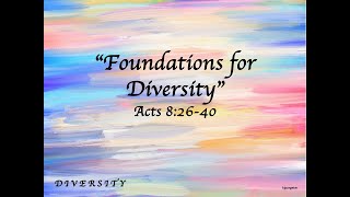 Foundations for Diversity 9824 [upl. by Katlaps]