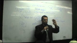 DrAhmed Abd Elrahman  CNS 4  NSAIDS  Part 1 [upl. by Jameson]