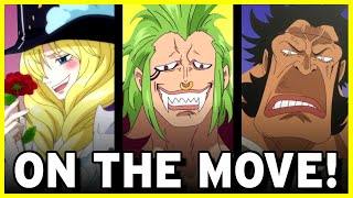 Where Are They Now  The Straw Hat Grand Fleet  Grand Line Review [upl. by Akkina]