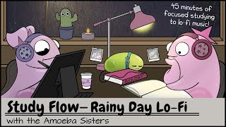 Study Flow Amoeba Sisters Rainy Day Lofi Study Video  45 Minutes [upl. by Acisej]