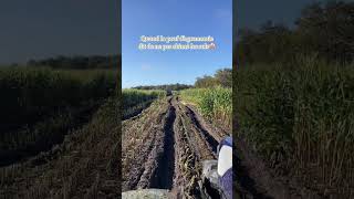 masstiktok agri de louest Oups agriculture agricole tractor ensilage [upl. by Rucker324]