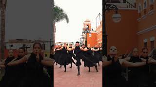 Toromata para MesCriollo 🇵🇪😍 danza danzasdelperu peru [upl. by Ariam]