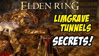 The SECRET PASSAGES of Limgrave Tunnels  Beat the Stonedigger Troll  Elden Ring [upl. by Aramanta]