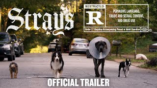 A Dogs Way Home 2018  Finding Her Human Scene 910  Movieclips [upl. by Lenneuq]