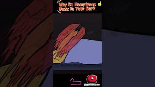 Why Do Mosquitoes Buzz in Your Ear 💤🦟  Hilarious Animation Shorts [upl. by Enymzaj14]