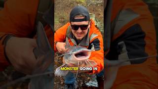 Restocking my DEAD Pond 🎣🔥part 10 shorts fishing [upl. by Powder293]