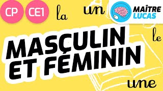 Masculin et féminin CP  CE1  Cycle 2  Français  étude de la langue  FLE [upl. by Dugan]