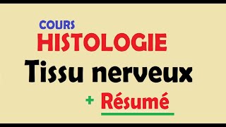 cours HISTOLOGIE Ep4  Tissu nerveux  Résumer [upl. by Ailedroc241]