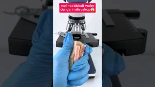 Melihat biskuit wafer dengan mikroskop🤤 fakta faktaunik experiment [upl. by Capello]