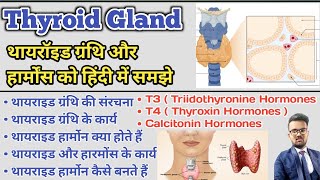 Thyroid Gland in hindi  Thyroid Hormones  T3  T4  Thyroxin Hormones  Thyroid Profile Test [upl. by Particia]