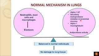 Emphysema Pathogenesis [upl. by Abixah]