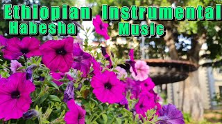 Ethiopian Instrumental Music 2022 For Studyingፉፉቴ  Relaxation MusicDeep Sleep Instrumental Music [upl. by Zandra]