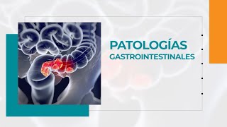 Patologías Gastrointestinales y Cáncer Colorrectal  ExclusivoMSP [upl. by Rihsab]