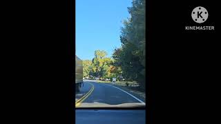 autumn fall started in USA Mary Varghese letsgetknowledge [upl. by Hirasuna]