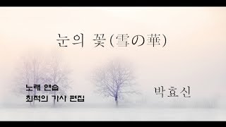 눈의 꽃 1시간 미안하다사랑한다 OST 雪の華  박효신 [upl. by Janelle359]