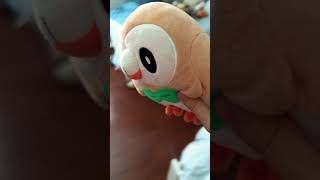 Rowlet hates this song [upl. by Studley]