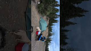 Really impressed with this El Capitan 3 Outfitter tent by eurekacamping camping eureka [upl. by Eidnyl]