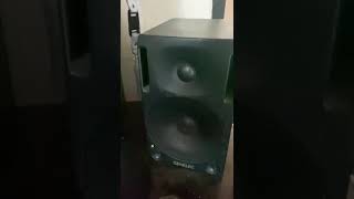 TESTING SPEAKER GENELEC 1029A [upl. by Publius]