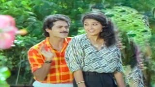 Endaka Egirevamma Video Song  Srinivasa Kalyanam Movie  Venkatesh Gautami  VolgaMusicBox [upl. by Sean871]